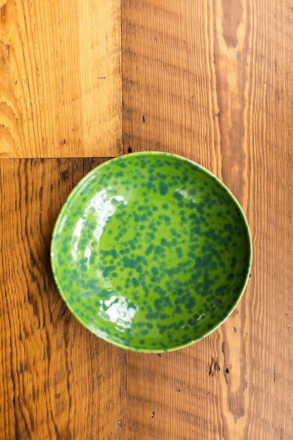 Tortoise Soup Plate