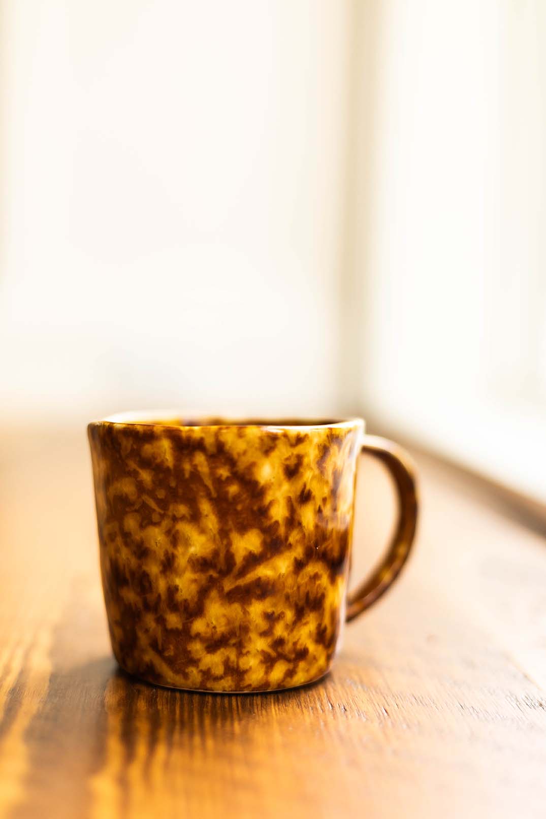 Tortoise Mug